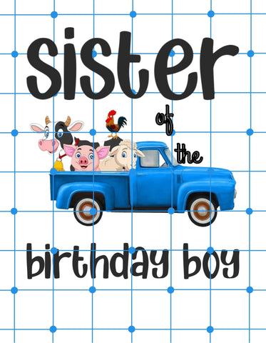 Sister Of The Birthday Boy Farm Animal's Birthday Theme| Printable Iron On Transfer for Diy Tshirt