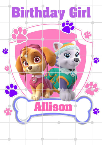 Inspired By Paw Patrol| Skye and Everest| Girl Print| Shield| Printable Iron On