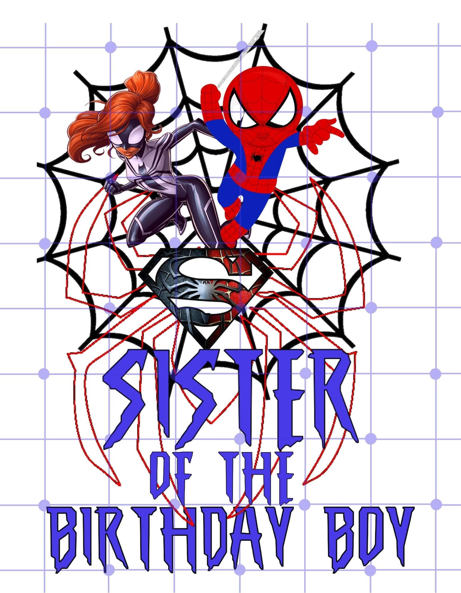 Spiderman Family Birthday Shirts| Sister and Brother|Printable Iron On Transfer